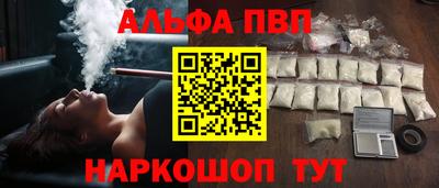 сатива Гай