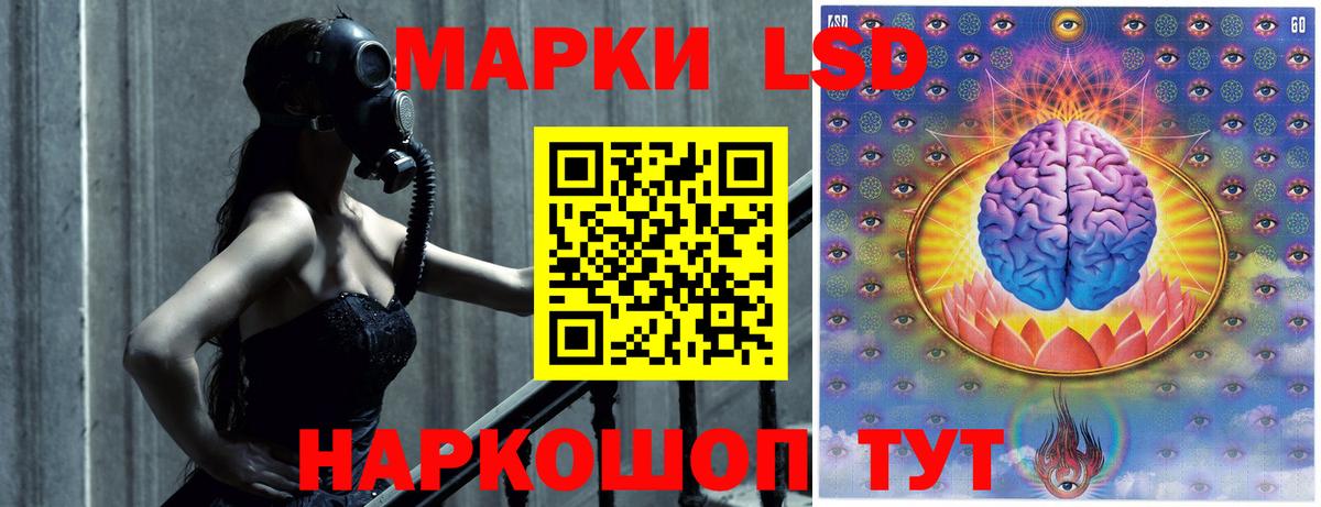 kraken ССЫЛКА  Лсд 25 экстази кислота  Вход с VPN  Богородск 