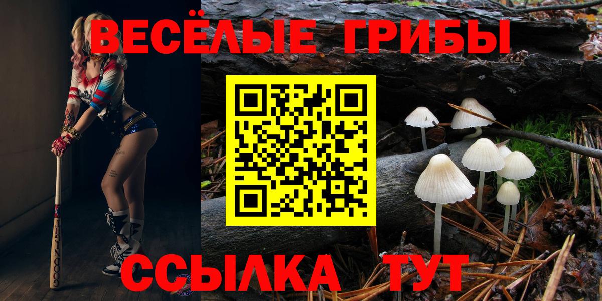 Галлюциногенные грибы Psilocybe Богородск