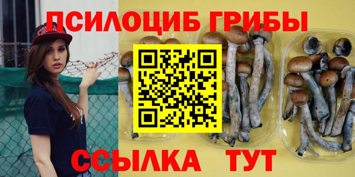 Богородск  Псилоцибиновые грибы мицелий  где купить наркоту  Вход с VPN 